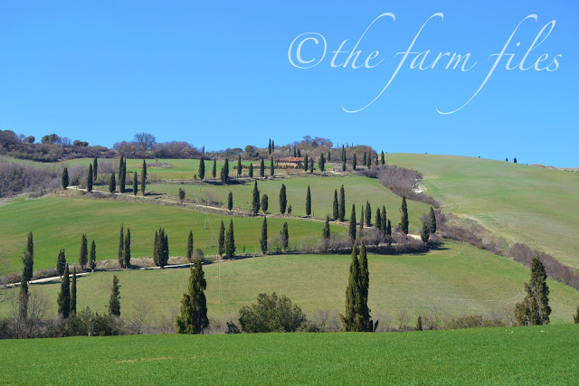 Posting from The Farm Files ~ Off the Beaten Path in Tuscany