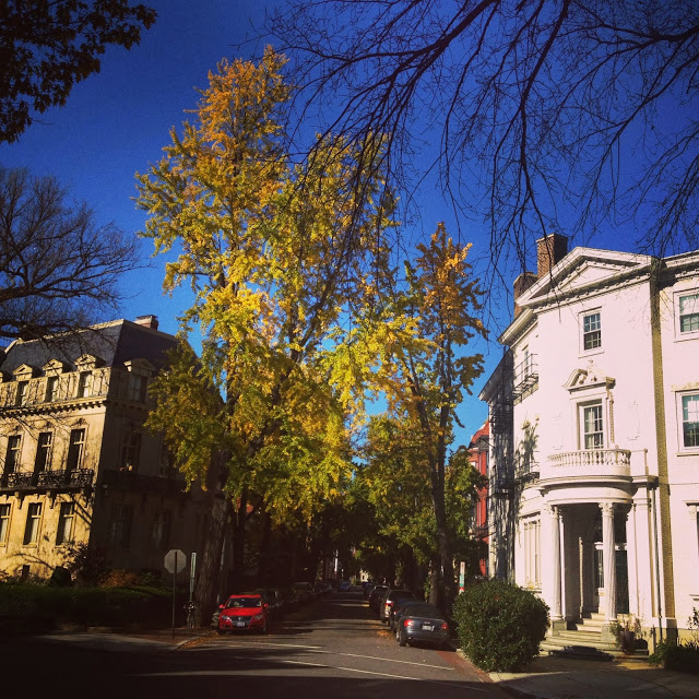 Off The Beaten Path in Washington, DC