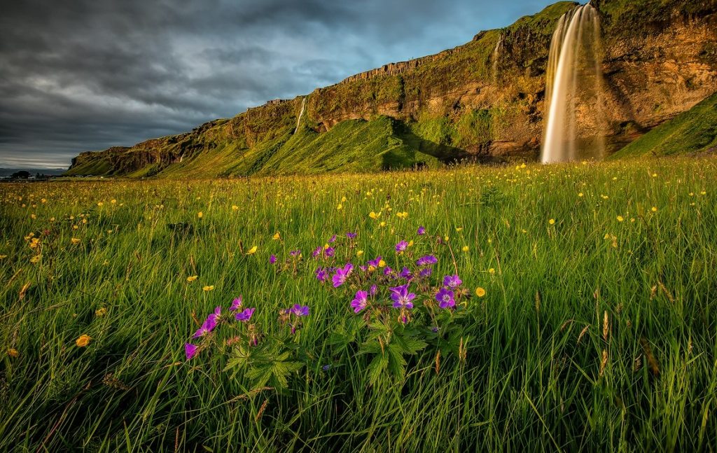 5-day-summer-package-with-jokulsarlon-glacier-lagoon-3