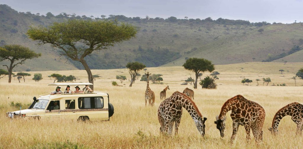 classic-safaris-ext-header