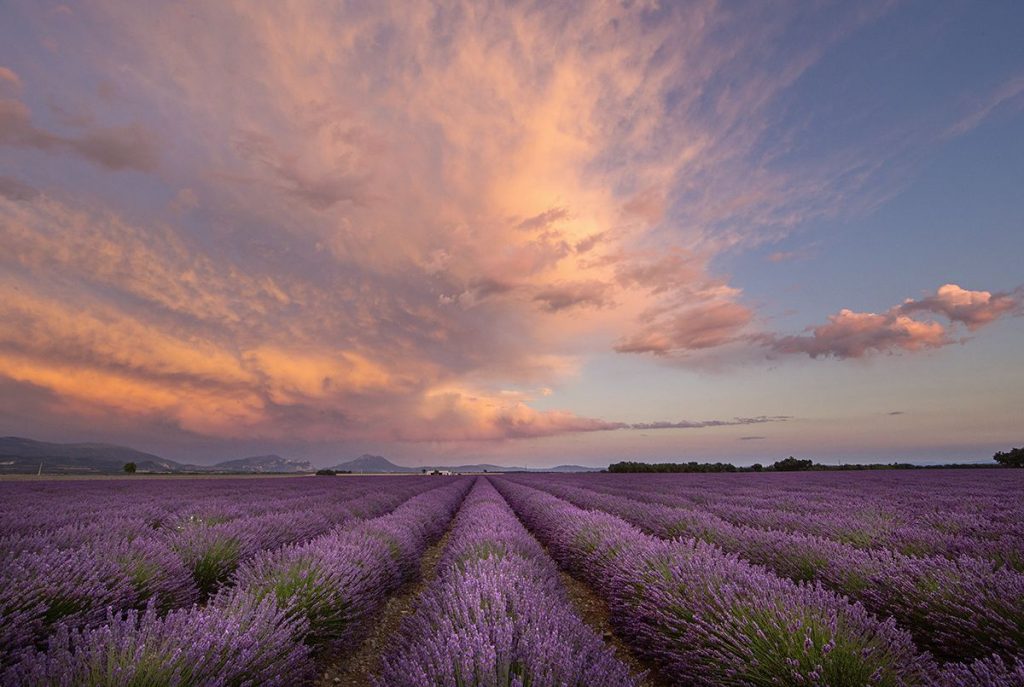 provence