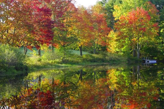A Leaf Peeping Guide to New England