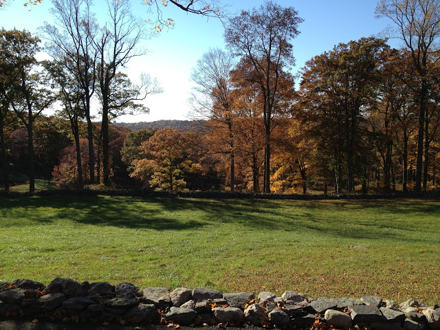 Fall Day Trip – New Canaan, Connecticut and Philip Johnson’s Glass House