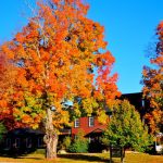 Wednesday Wanderlust ~ Autumn in New England