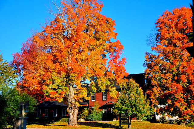 Wednesday Wanderlust ~ Autumn in New England