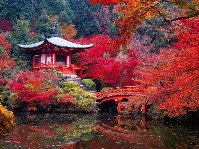 Kyoto In Color