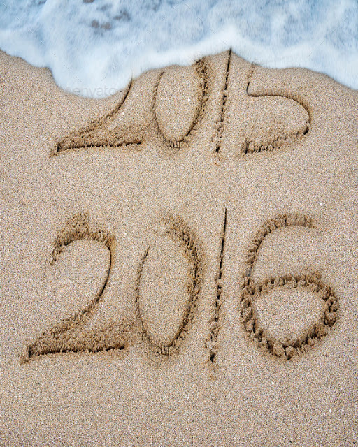 Reflecting on 2015 and Welcoming 2016