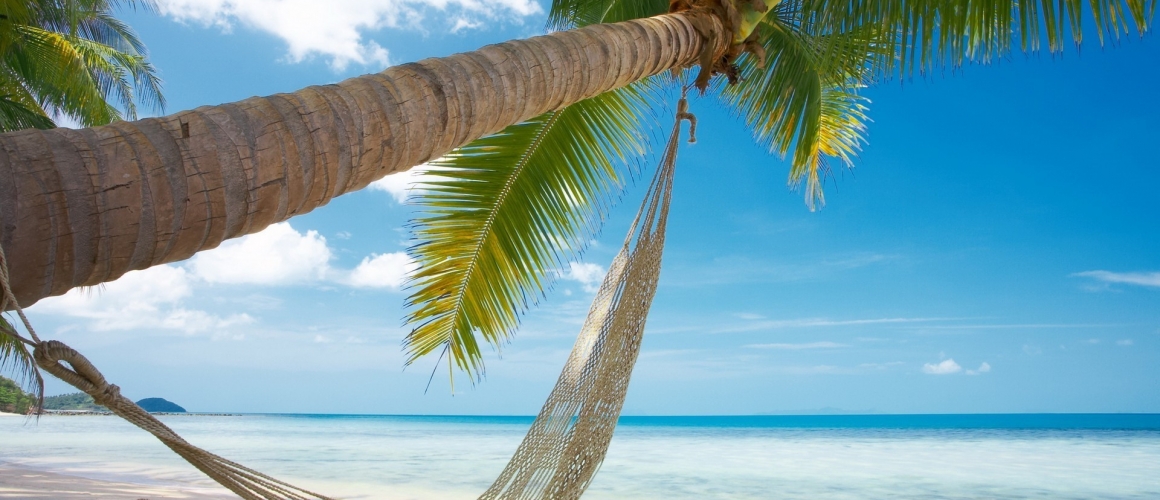 beach-hammock-tropical-1920×1200-wallpaper448447