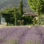 Dreaming of… Summer in Provence at La Bastide de Marie