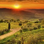 A Dream Trip to Tuscany ~ Coast, Country and City