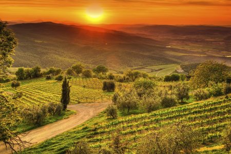 A Dream Trip to Tuscany ~ Coast, Country and City